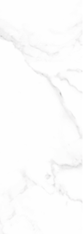 Panneaux muraux PVC (lot de 2 panneaux)